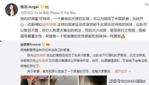 何小姐被爆料视频,真相与争议